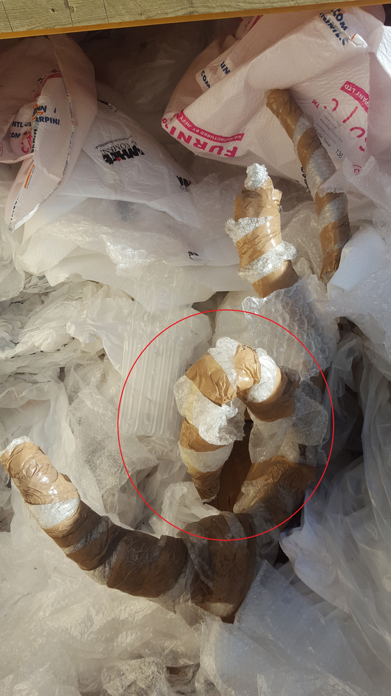 The first break that was visible while the antlers were still fully wrapped.